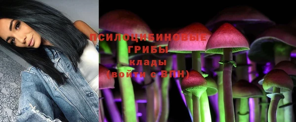 эйфоретик Абаза