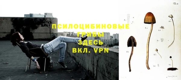 эйфоретик Абаза