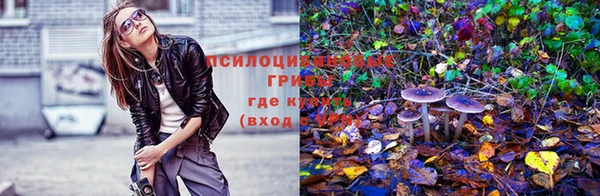 мет Алзамай